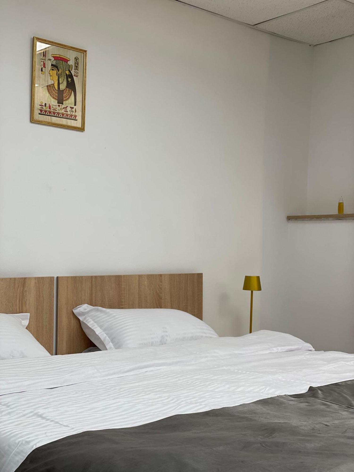 Central Home Apartment Craiova